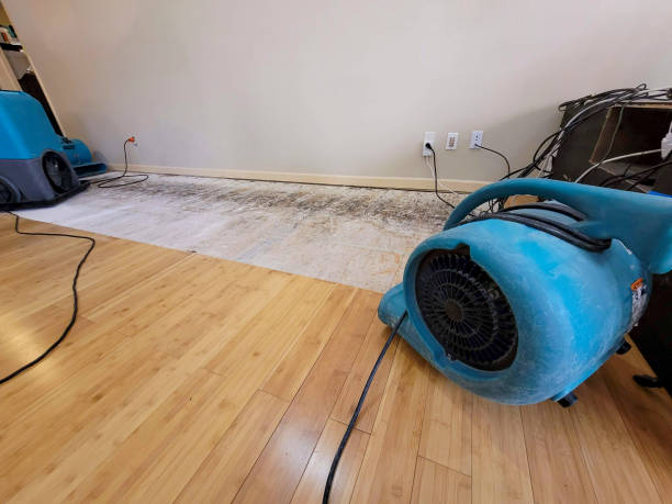 Professional Sewage Cleanup technician working in Phoenix, IL